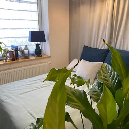 M4 Miejski Apartament 公寓